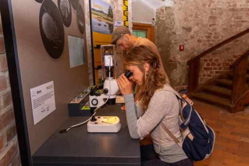 A person looks into a microscope in the exhibition.