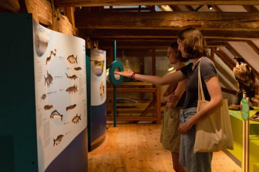 Two people look at an exhibition board.