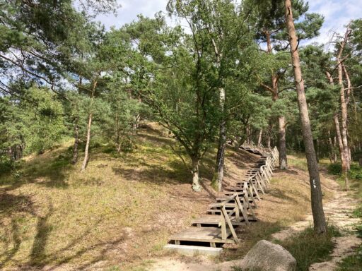 A wooden staircase leads up to the Heidberg.