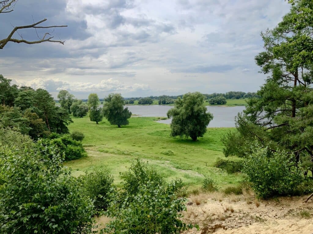 View over the Elbe from Heidberg in Vietze.