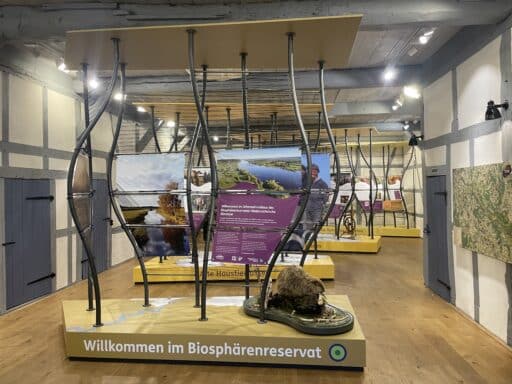 Exhibition boards and a specimen of a beaver