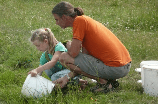 Two people hold a white bucket from which fire-bellied toads are released into the wild.