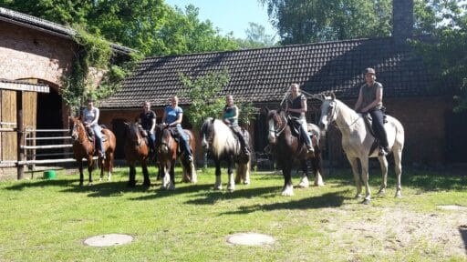 Pferd und Reiter sind bei uns herzlich willkommen!