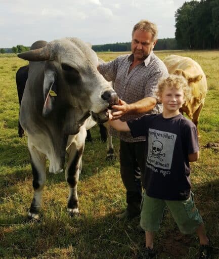 Auf Tuchfühlung mit Rindern gehen