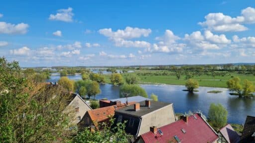 The picture shows the Havel floodplain with high water. Extensive floodplain meadows with willows in the background. The houses of Havelberg can be seen in the foreground.