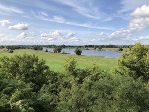 From the observation tower in Rüterberg you have a wide panoramic view over the course of the Elbe.