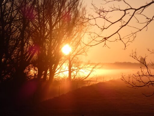 Orange sunset