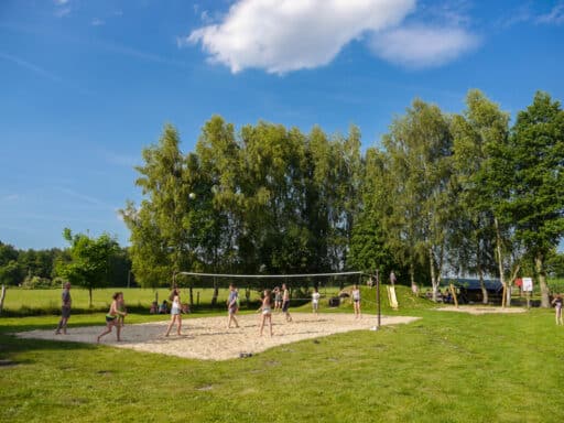 A group plays volleyball on the beach volleyball court