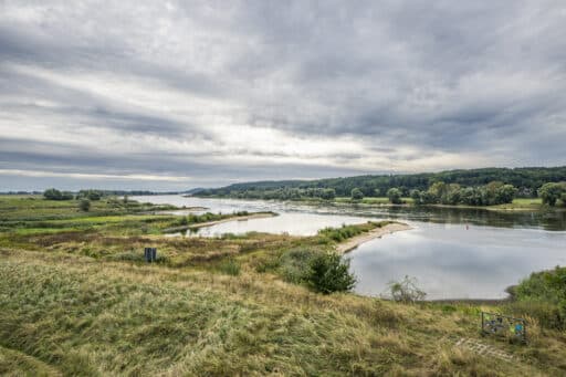 View over the river Elbe