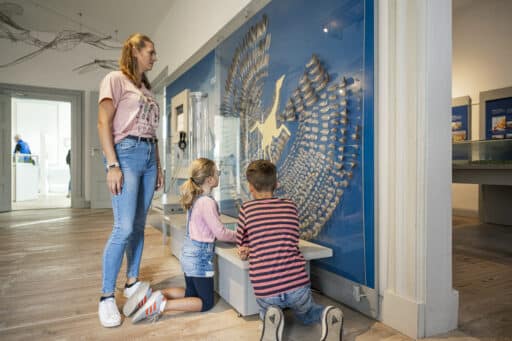 A woman and two children look at the fanned plumage of a bird in the Biosphaerium exhibition.