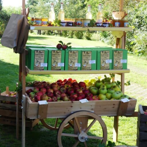 Leckere Bio-Äpfel, Saft und Honig