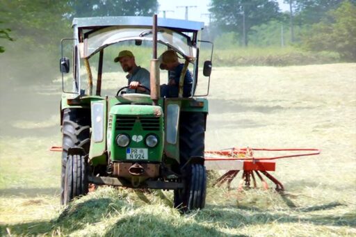 A tractor swathes hay.