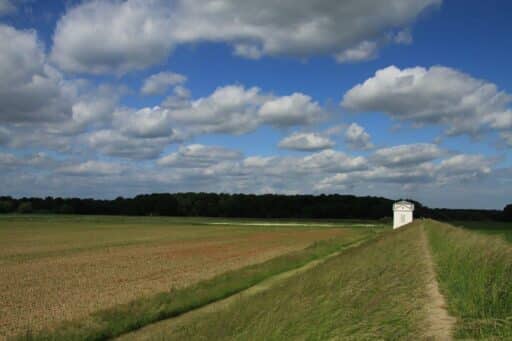 The Elbe embankment near Vockerode can be seen on the right. On it stands a white building - the so-called Temple of Diana. This building is part of the Dessau-Wörlitz Garden Kingdom World Heritage Site. To the left of the dyke are the extensive meadows of the Elbe floodplain.