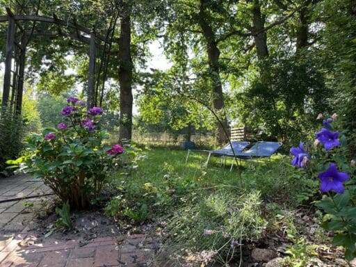 Im Garten blüht es.