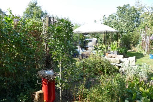 Garten der Dreiklang Viotaloase