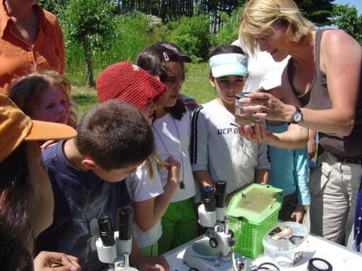 Wasseruntersuchung - ganz genau hinschauen!