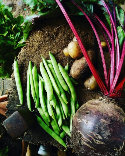 Beans, beet and potatoes lie on the ground.