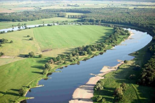 View of the Elbe with sandbanks and alluvial forest on the right bank.