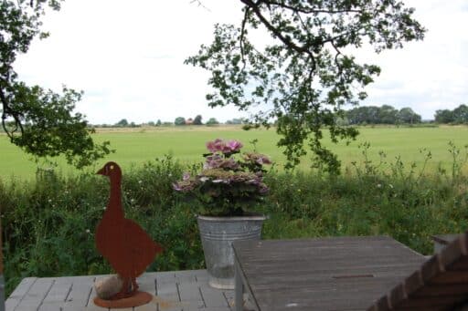 A view of the Elbe valley from the terrace