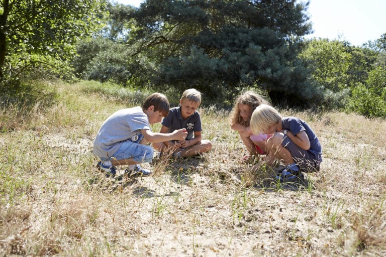 Vier Kinder knieen im Sandboden und untersuchen Pflanzen und Käfer.