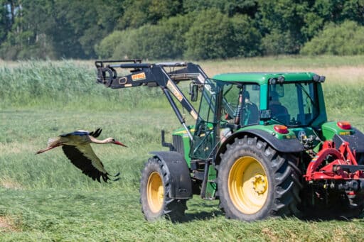 A stork flies over a meadow while a tractor works the grass. Bushes and trees can be seen in the background. It is a sunny day.