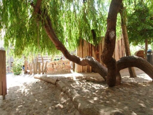 Natural playground with tree