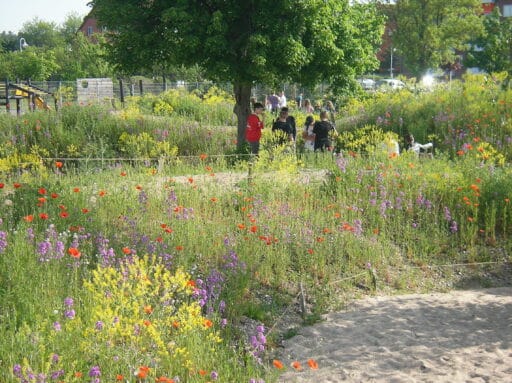 Colorful blooming schoolyard