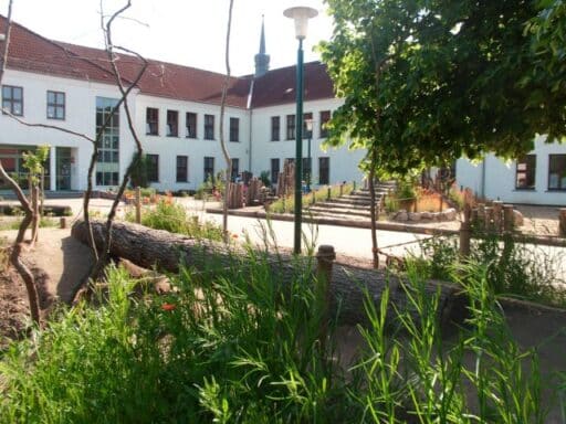 Schoolyard designed with wooden elements