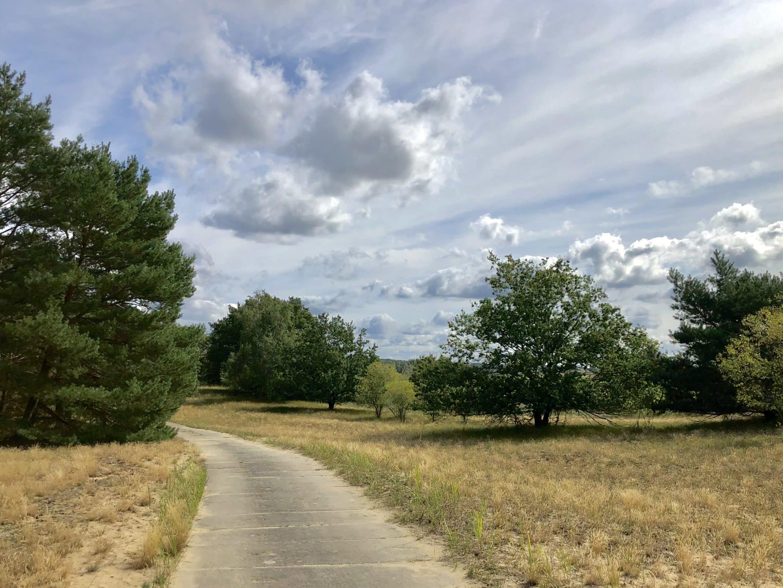 Der ehemaliger Kolonnenweg zwischen Rüterberg und Dömitz führt durch halboffene Landschaft mit Dünen und Kiefern.