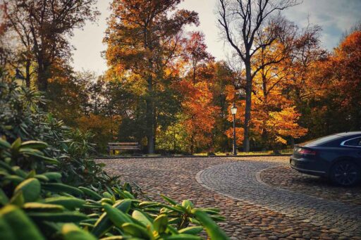 Herbststimmung im Gutspark