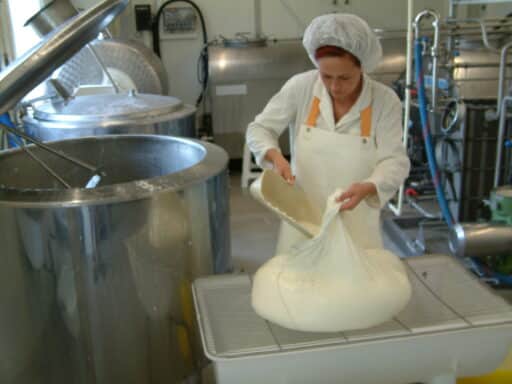 In der Produktion unserer Molkerei