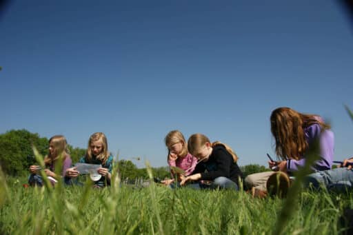 Children sit on a meadow in the grass and identify plants