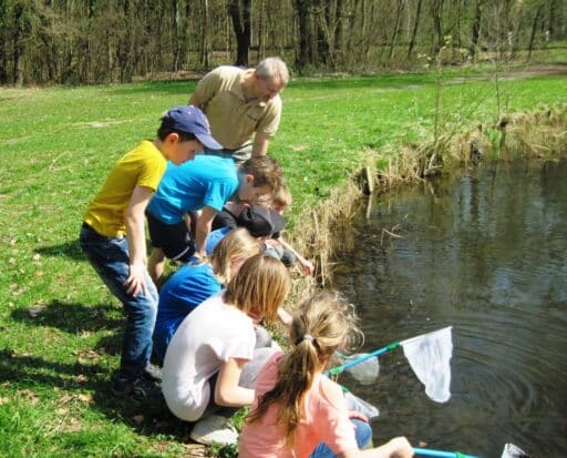 Rangers with a group of children netting aquatic insects at the pond as junior rangers