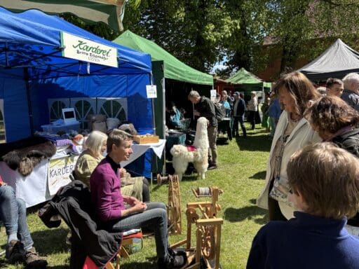 Britta Eizenhöfer mit ihrem Spinnrad auf dem BiosphäreElbeMarkt in Dömitz