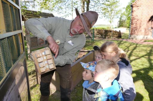 Ranger shows children an insect hotel