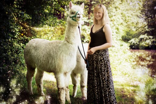 Sommerliches Footoshooting mit Alpakas