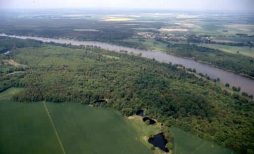 This is an aerial photograph of the Lödderitz Forest near the village of Steckby. In the foreground is floodplain grassland adjoining the hardwood floodplain forest of the Steckby-Lödderitz forest. Behind it, part of the course of the River Elbe and the houses of the village of Stecky can be seen.