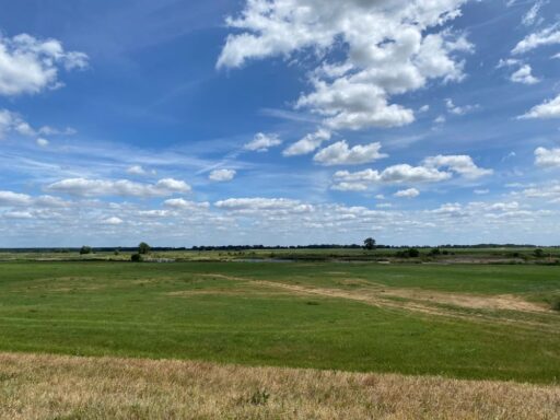 View of the floodplain meadows in the nature reserve 