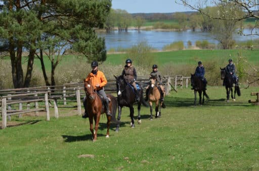 A group of riders ride across a meadow by the Elbe.