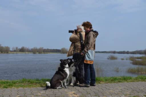 Two people with two dogs photographing the Elbe.