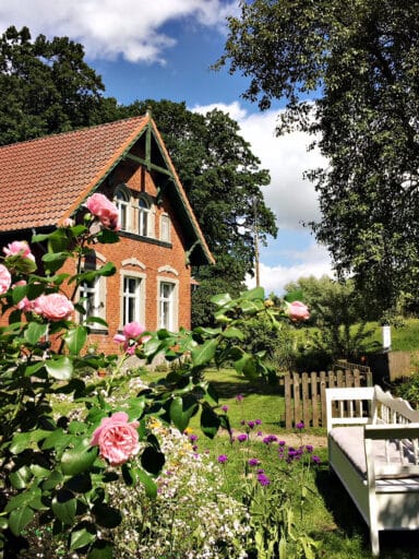 Roses grow in front of the guesthouse on the Elbe dyke.