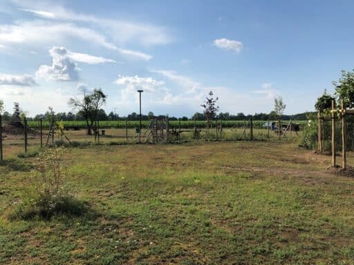 Großer Auslauf auf einem weiten Gelände