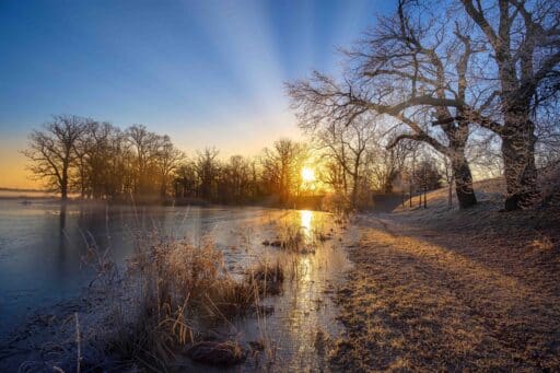 Morning atmosphere in the Elbe foreland