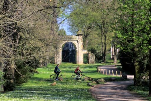 Cyclists cross the Luisium Dessau Park.