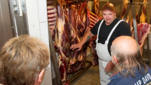 Auf einer Führung wird alles erklärt