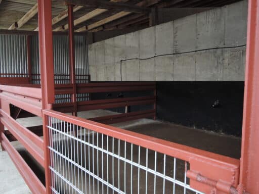 Große Wartebuchten für die Tiere vor der Schlachtung