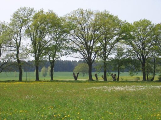 Weite Landschaft