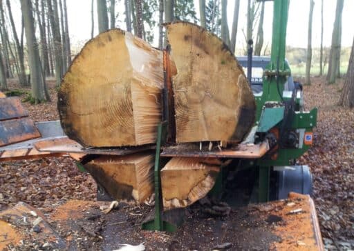 Holzspalten von Brennholz bis 80 cm Stammdurchmesser ist möglich