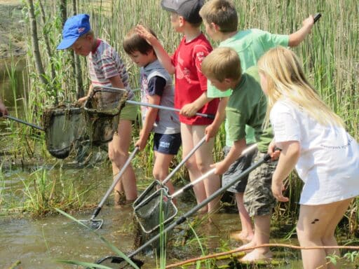 Environmental experience with children