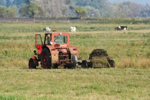 Tractor on a meadow grazed by cows